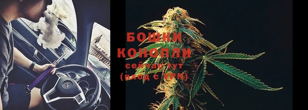 PSILOCYBIN Протвино