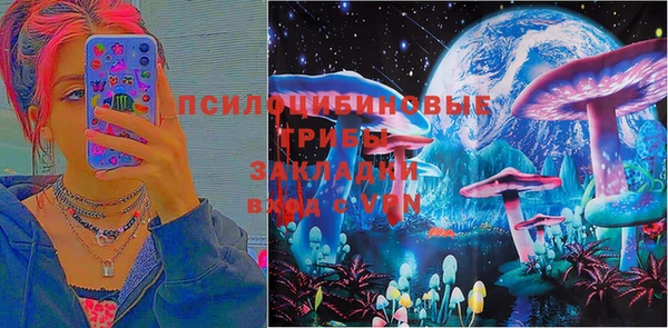МДПВ Алексин