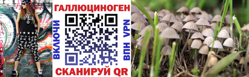 купить закладку  Шебекино  ссылка на мегу ТОР  Псилоцибиновые грибы GOLDEN TEACHER 