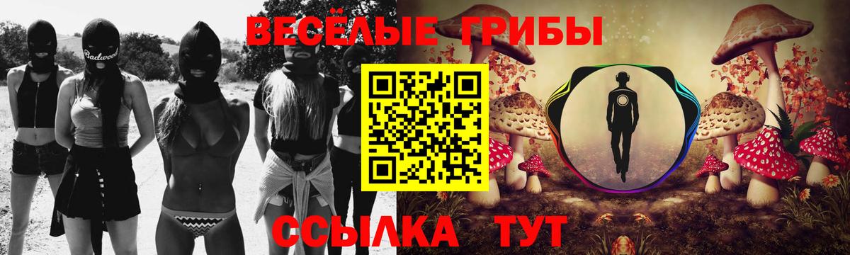 Галлюциногенные грибы Psilocybine cubensis Шебекино