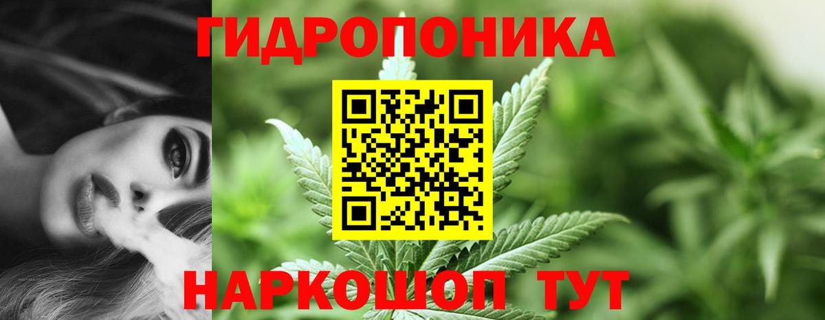 Шебекино  Каннабис OG Kush  Конопля семена  Вход с VPN  Конопля THC 21% 