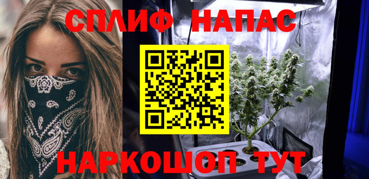 МАРИХУАНА планчик Шебекино